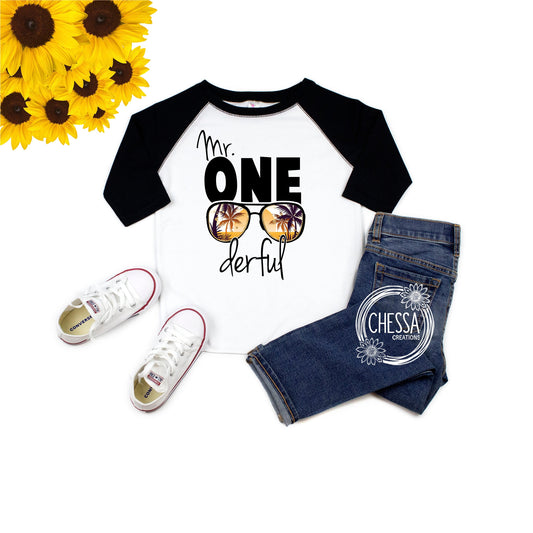 1st Birthday Boy Outfit, Cool Mr. ONEderful One Year Old Party, First Birthday, White raglan shirt w/ Black Sleeves, Chessa