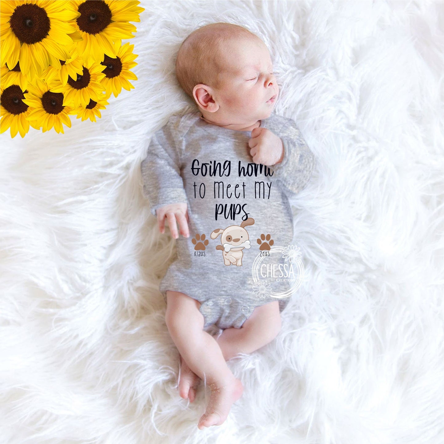 Going Home to Meet My Pups, Bringing Home Baby Coming Home Outfit, Gender Neutral, Boy, Girl, Summer, Fall, Spring, Winter, DTG Ink Print