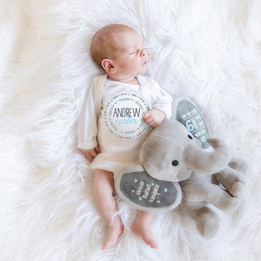 Baby Boy Shower Gift Basket 2-Piece Set Personalized Elephant Stuffed Animal Newborn Boys Basket Personalized Bodysuit Pale Blue, DTG Ink