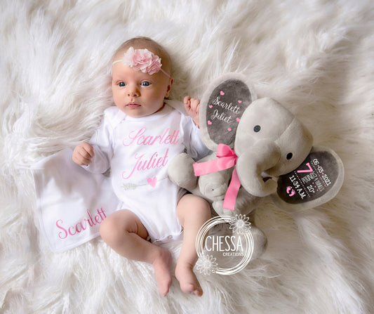 Girl Baby Shower Gift Set 3-Piece Personalized Items Elephant Stuffed Animal Monogrammed Bodysuit Custom Bib Newborn New Baby Basket Pink