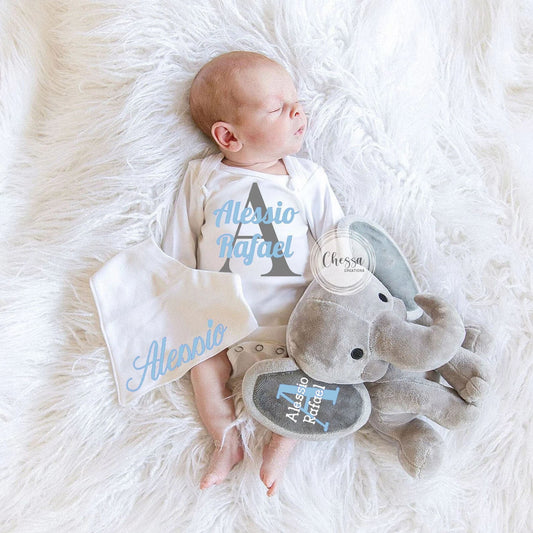 Custom Baby Boy Gift 3-Piece Shower Set Elephant, Bodysuit, & Bib, Newborn, Personalized Stuffed Animal Gift Basket Blue, New Mom, Pale Blue