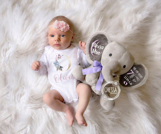 Floral Lilac Baby Girl Gift Basket Baby Shower Newborn Set 2-Piece Bodysuit & Elephant Stuffed Animal, Customized Swirlie Monogram